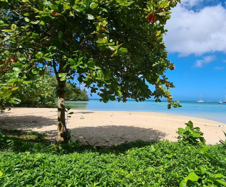 Manta Lodge avec 4x4 PleineNature BordLagon Haapu Exterior foto