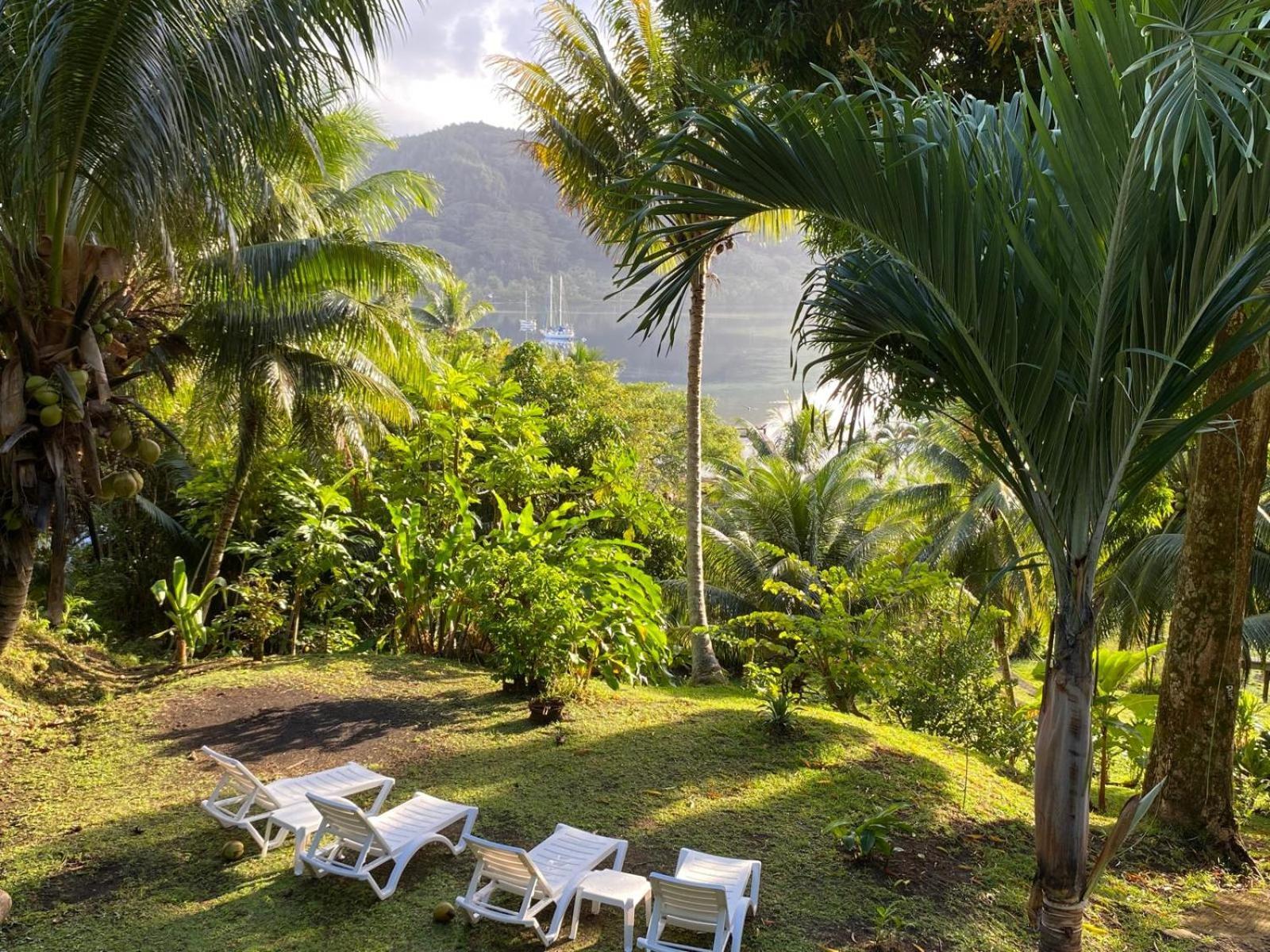 Manta Lodge avec 4x4 PleineNature BordLagon Haapu Exterior foto