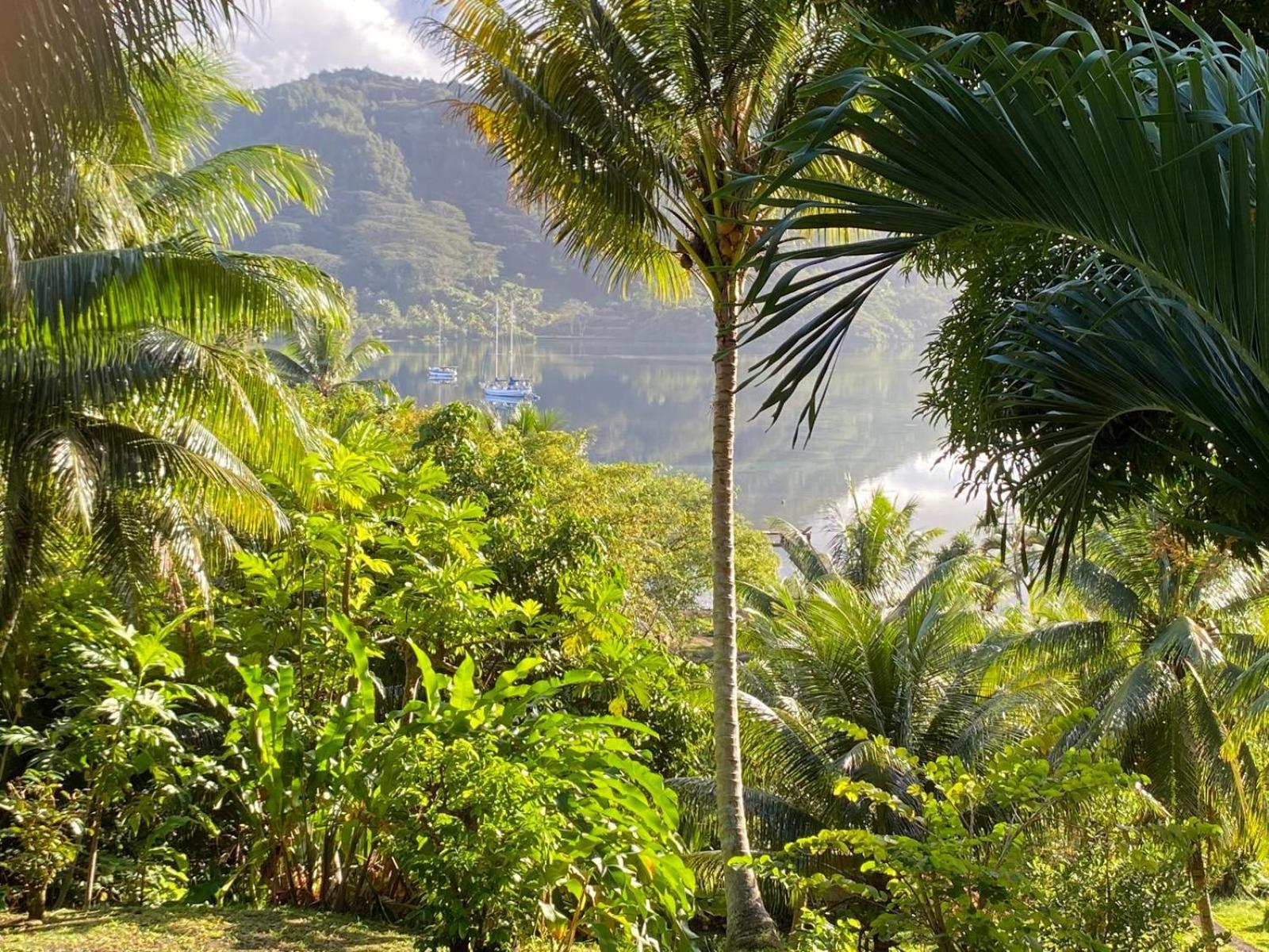 Manta Lodge avec 4x4 PleineNature BordLagon Haapu Exterior foto