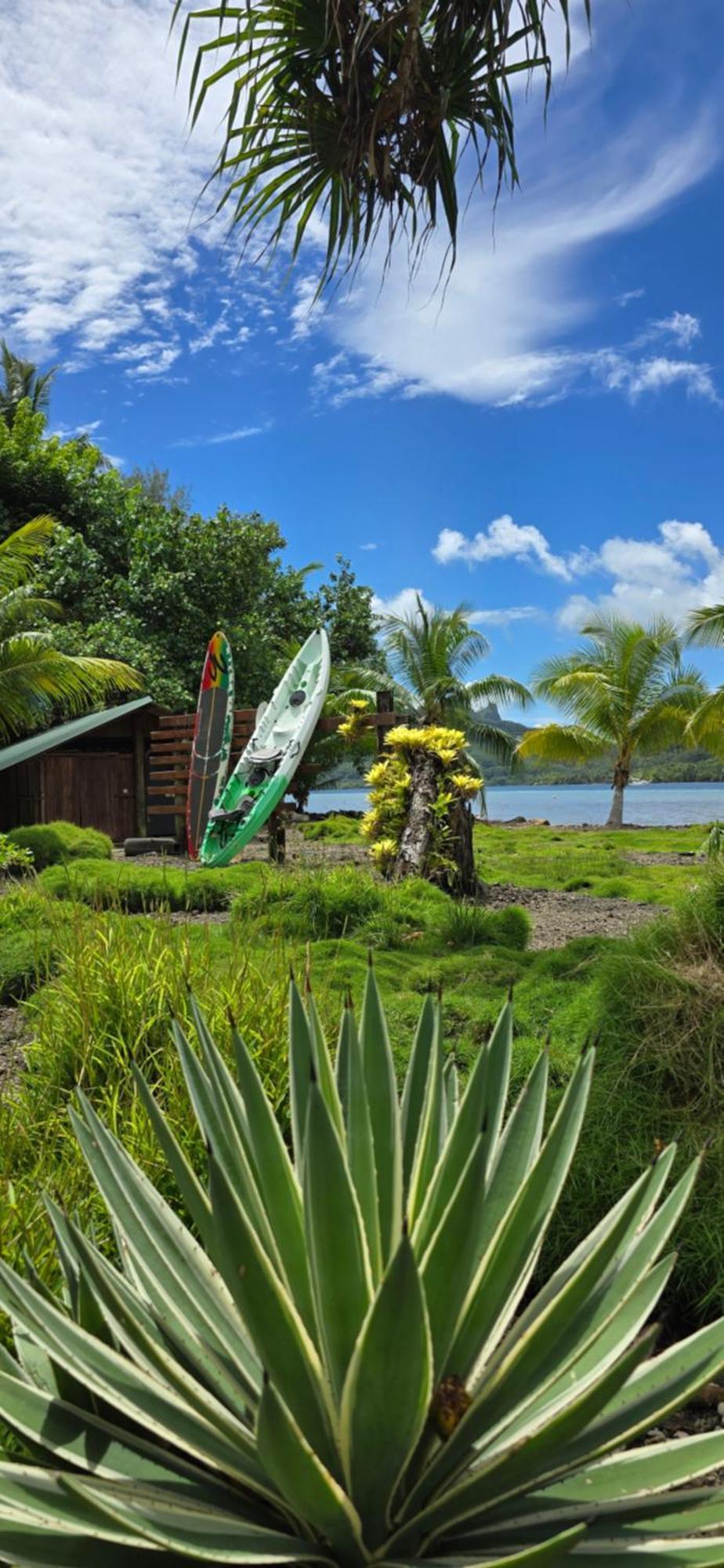 Manta Lodge avec 4x4 PleineNature BordLagon Haapu Exterior foto